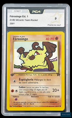 une image d'une carte Pokémon sur laquelle figure un chien