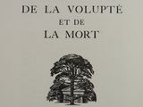 un gros plan d'un livre sur lequel figure le dessin d'un arbre