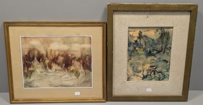 deux tableaux encadrés représentant des chevaux dans un pré, dont l'un est marron et l'autre bleu