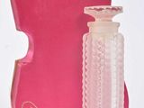 un flacon de parfum à côté d'un étui à violon
