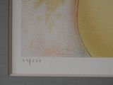 a picture of a picture of a vase with flowers in it