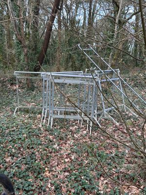 un chien qui se tient près d'une clôture dans les bois