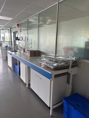 une photo d'une cuisine avec beaucoup de nourriture sur le plan de travail