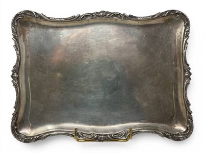 a silver tray with a handle on a white background