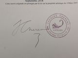 Photo 13/13 du lot