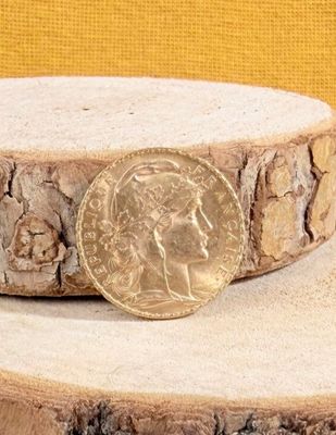a gold coin sitting on top of a piece of wood