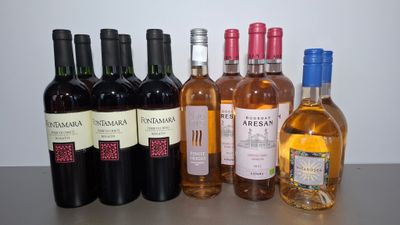 12 bouteilles de rosé Italien et espagnol : 6 bouteilles Fon…