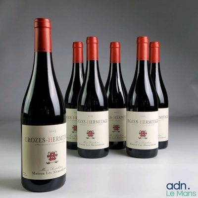 six bouteilles de vin rouge sont alignées sur une table