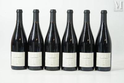 six bouteilles de vin sont alignées sur une surface blanche