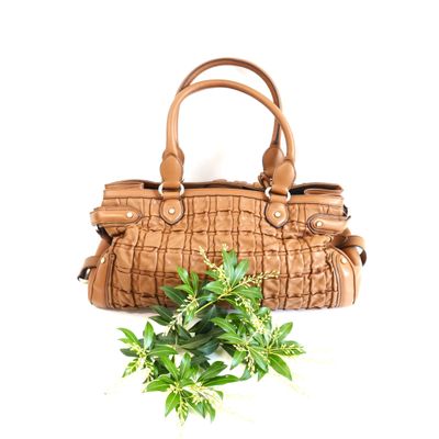 leather handbag on a white background with a plant in the foreground