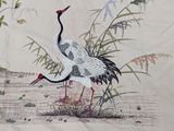 a picture of two cranes standing in the grass