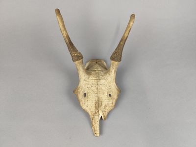 une image représentant un crâne de cerf accrochée au mur