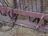 a bird that is sitting in a cage with a chain around it
