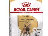 Royal Canin : croquettes pour chien adulte de race bouledogue français