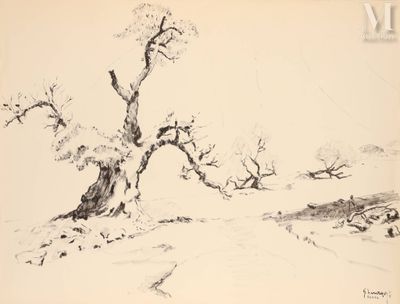 dessin représentant un arbre au milieu d'un champ, sans feuilles
