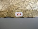 a close up of a piece of wood with a number on it