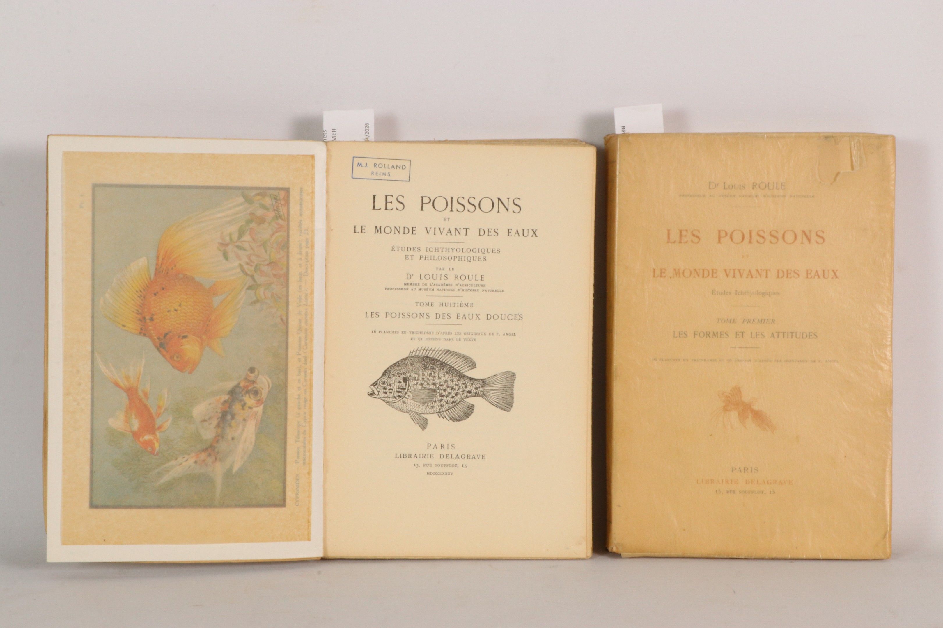 [ZOOLOGIE] ROULE (Louis). Les poissons et le monde vivant de…