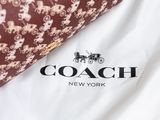 a coach logo on a white shirt and a brown tie