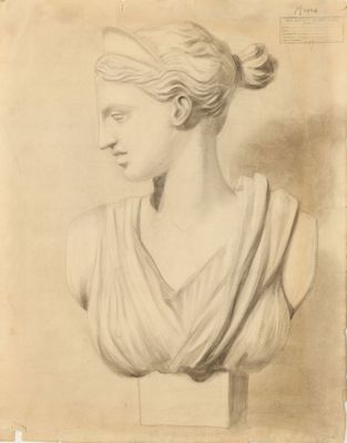 a drawing of a bust of a woman with a bun in her hair