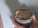 a person holding a piece of wood in their hand