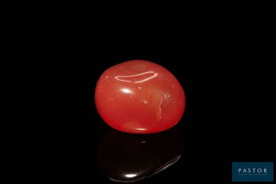 an image of a single tomato on a black surface
