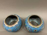 pair of chinese cloise blue vases with floral decoration