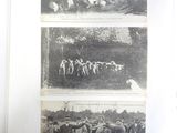 three pictures of horses being herded by a man