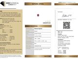 a close up of a brochure with a price tag on it
