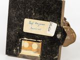 a small black book with a label on it