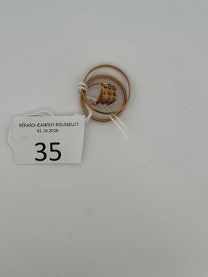 a gold ring with a picture of a lion on it