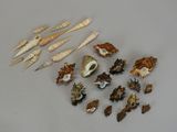 a lot of sea shells on a white surface