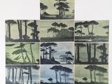 de nombreuses images différentes d'arbres sur fond blanc