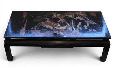 une table basse sur laquelle est posé un aquarium
