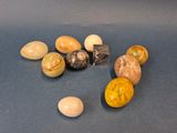 tout un tas de coquillages de toutes sortes sur la table