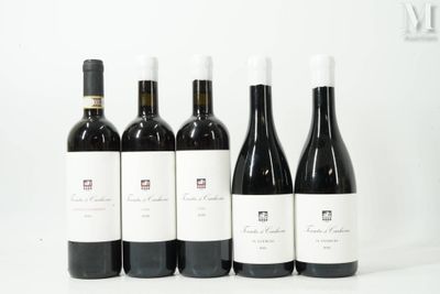six bouteilles de vin sont alignées sur une surface blanche