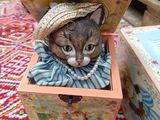 a cat that is sitting inside of a box on a table