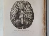 a book with a drawing of a human brain on it