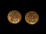 a pair of gold earrings with a lion on them
