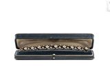 an image of an open case with a bracelet inside of it