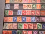 une photo d'une collection de timbres exposée dans une vitrine