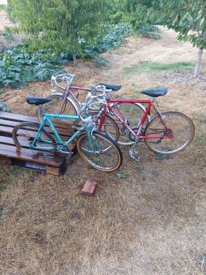 many bikes that are sitting on a bench in the grass
