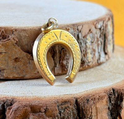 a close up of a gold horseshoe charm on a tree stump