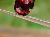 une personne tenant une pince sur laquelle est gravé un losange rouge