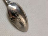 a spoon that is sitting on a table
