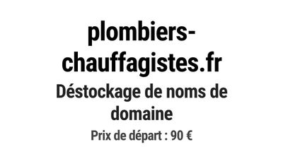 plombiers et chauffagistes - vente de domaines en déstockage