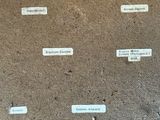 de nombreuses étiquettes sur un morceau de tissu qui se trouvent par terre