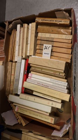 Lot de 46 livres de littérature.