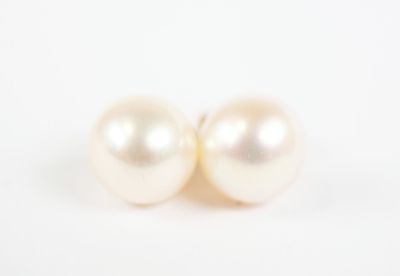 pair of white pearl earrings on white background