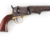 a colt colt colt colt colt colt colt colt colt colt colt colt colt colt colt colt colt colt colt colt colt colt colt colt colt colt colt colt colt colt colt colt colt colt colt