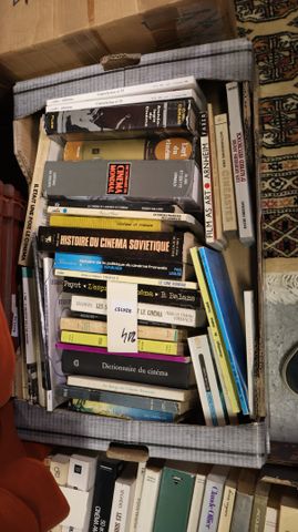 Carton de 40 livres sur le Cinéma.